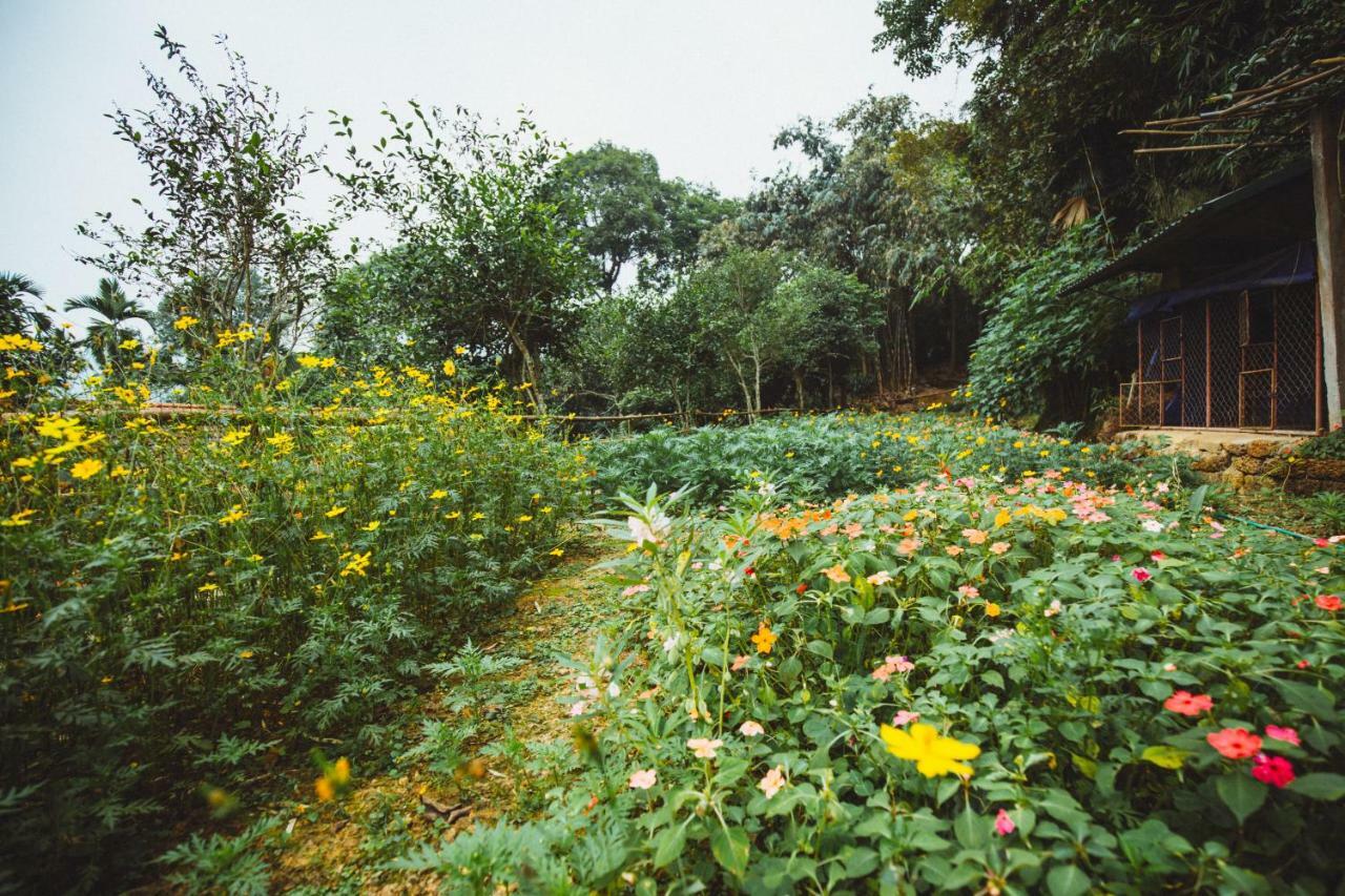 Bavi Homestead Ba Vi Dış mekan fotoğraf